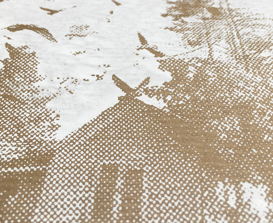 baraque, bruchbude, heesacker house, Siebdruck, Poster, Grafik, design, Vögel, federn, Natur,