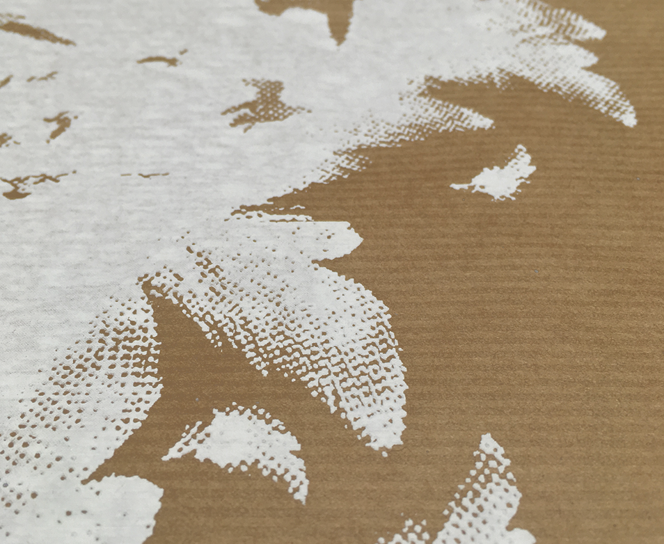 baraque, bruchbude, heesacker house, Siebdruck, Poster, Grafik, design, Vögel, federn, Natur,