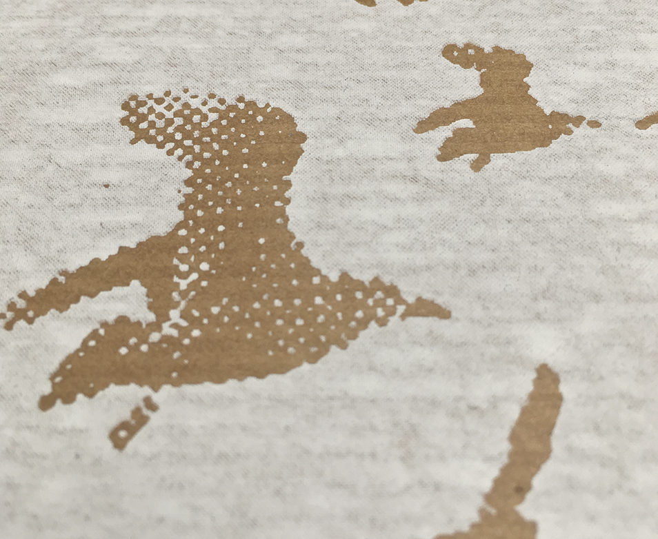 baraque, bruchbude, heesacker house, Siebdruck, Poster, Grafik, design, Vögel, federn, Natur,