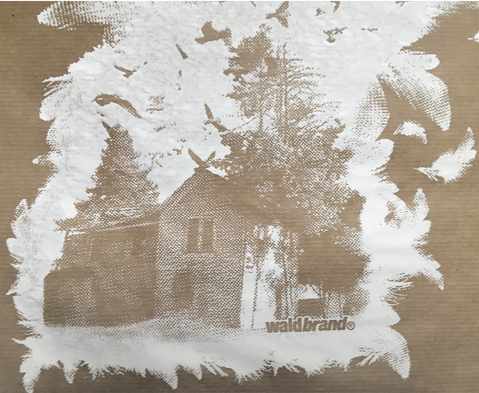 baraque, bruchbude, heesacker house, Siebdruck, Poster, Grafik, design, Vögel, federn, Natur,