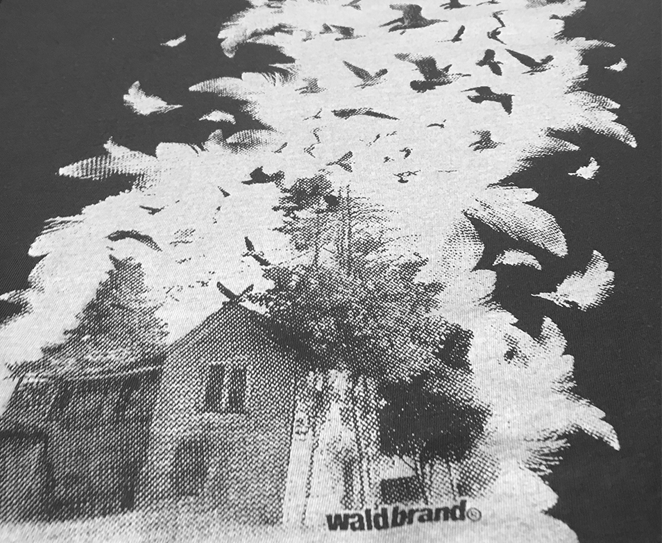 Waldbrand shirt, grau, federn, Vögel, siebdruck, frauenshirts mit Siebdruck, Baraque, Grafik, design, t-shirts, tops